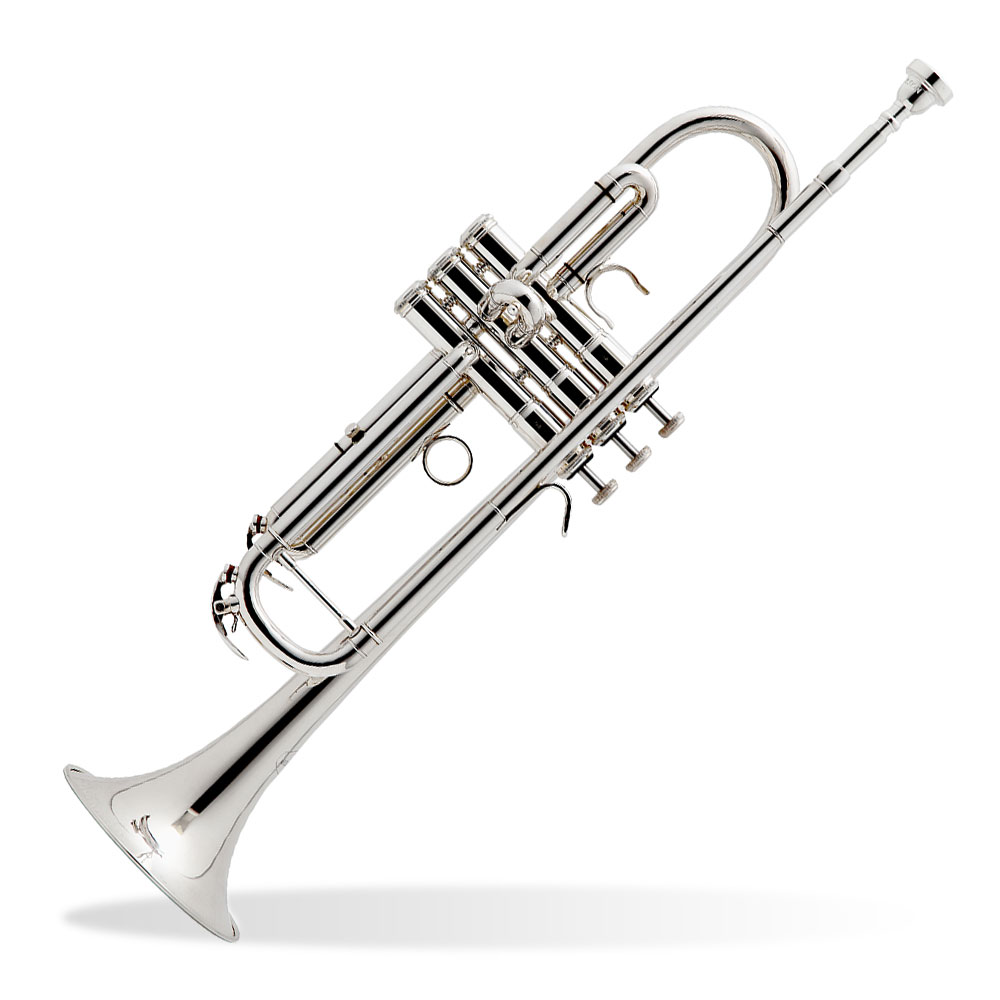 Trompeta New Standar 110